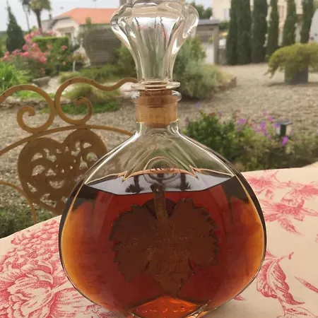 Lassaubatju فندق مبيت وإفطار Hontanx