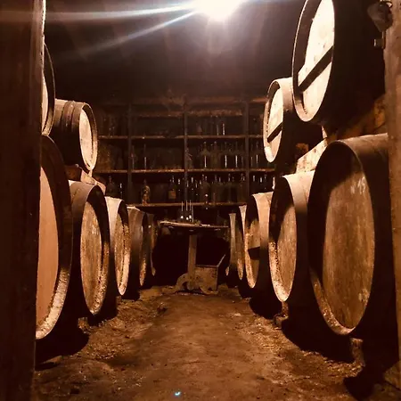 Alojamento de Acomodação e Pequeno-almoço Lassaubatju