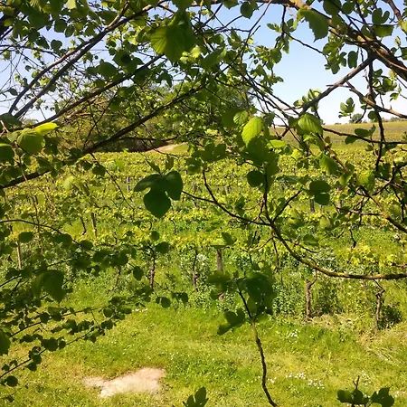 Lassaubatju לינה וארוחת בוקר 3*