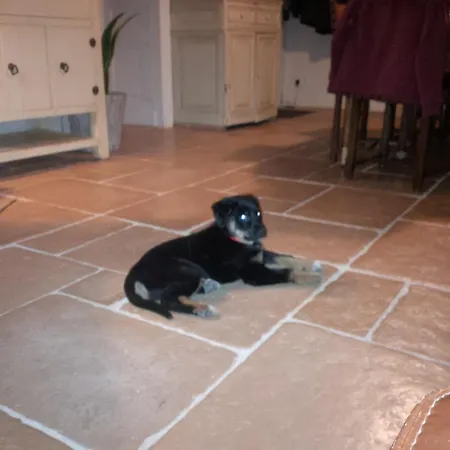 Lassaubatju Alojamento de Acomodação e Pequeno-almoço