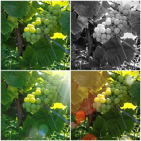 فندق مبيت وإفطار Lassaubatju