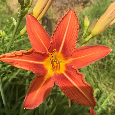 לינה וארוחת בוקר Lassaubatju Hontanx