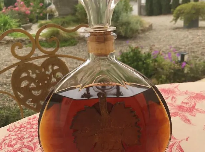 莱苏巴祝住宿加早餐旅馆 住宿加早餐酒店 Hontanx