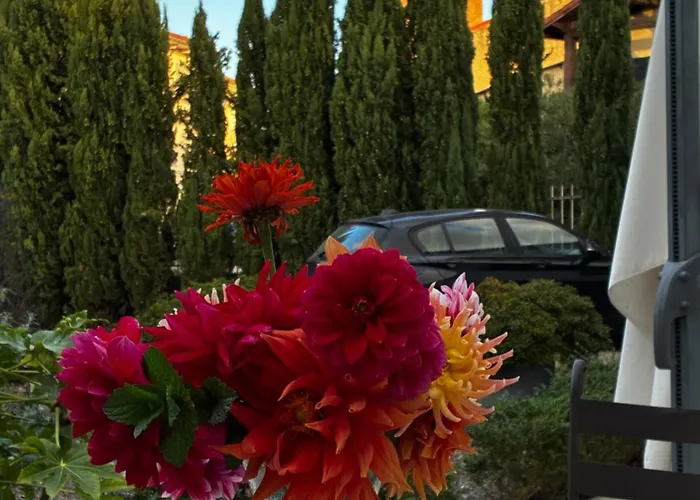 住宿加早餐酒店 莱苏巴祝住宿加早餐旅馆 Hontanx