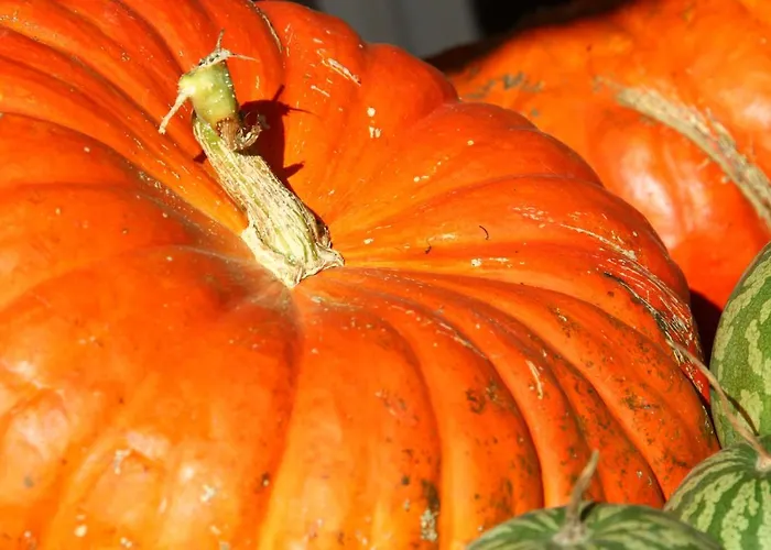 住宿加早餐酒店 莱苏巴祝住宿加早餐旅馆