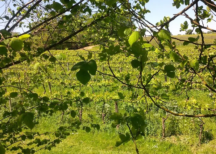 莱苏巴祝住宿加早餐旅馆 住宿加早餐酒店 3*