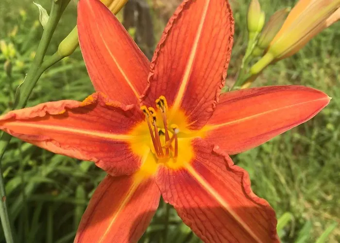 Bed and breakfast Lassaubatju Hontanx